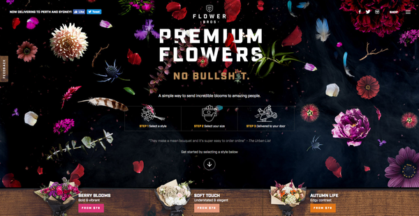 www.flowerbros.com.au-Flower Delivery Perth  Sydney - Flowers Online   Flower Bros-2017-03-28