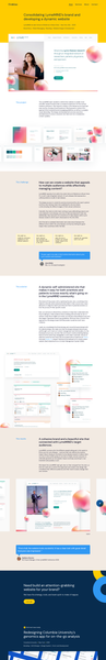 LymeMIND Case Study - Indicius Design Agency