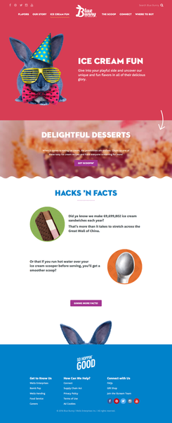 Fun Ice Cream Flavors  Desserts • Blue Bunny - https___www.bluebunny.com_ice-cream-fun