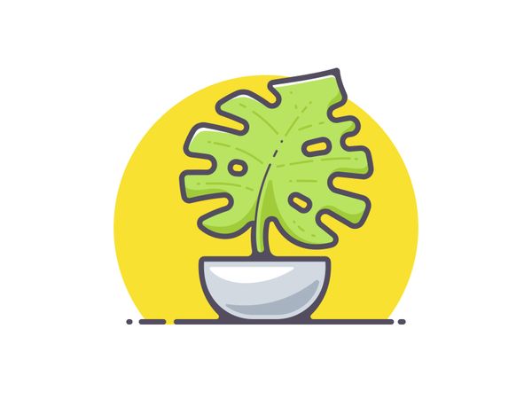 Desk Plant by Dan Dragomir - Dribbble