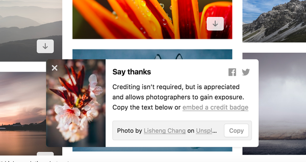 upsplash-modal