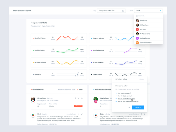 web-visitor-report