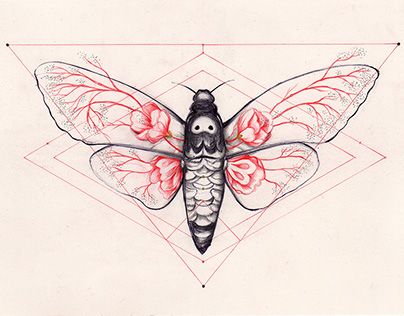 Silence by Marjolein Caljouw #art #illustration #moth
