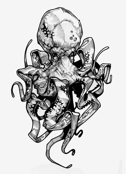 Octopus