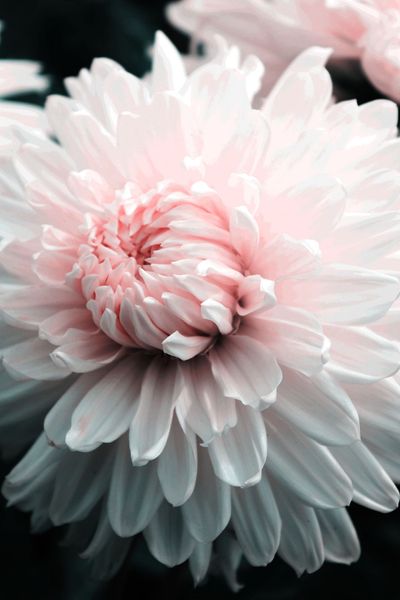 07d42339d204866eb5d8847a87513ad4