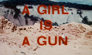 gun1.jpg