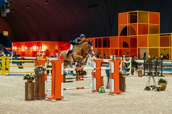 Image may contain Human Person Animal Mammal Horse and Equestrian