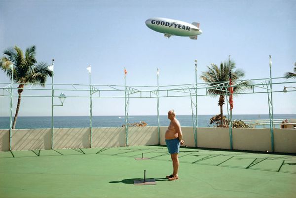 Image result for accidental wes anderson