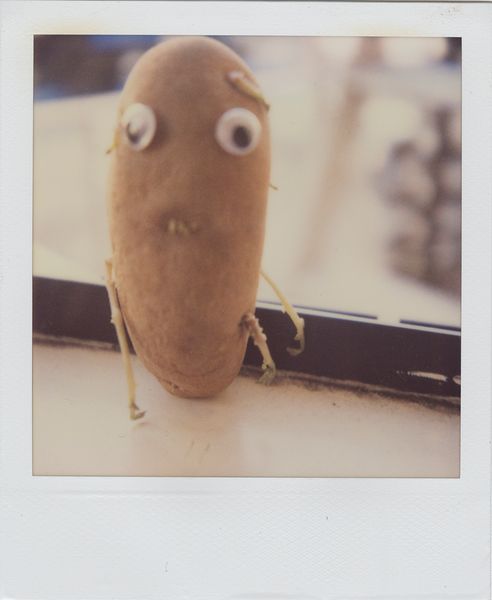 potato