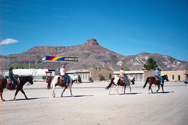 5_lajitashorses-copy