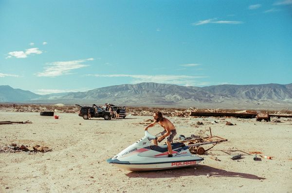 Image result for theo gosselin