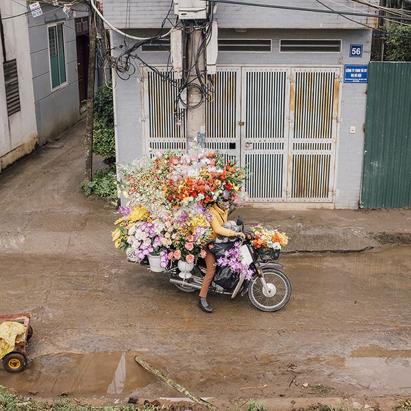 Adam_birkan_hanoi_int_22