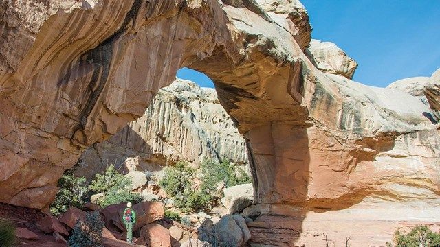 Capitol Reef National Park (U.S. National Park Service)