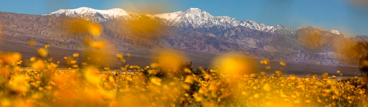 Death Valley National Park (U.S. National Park Service)