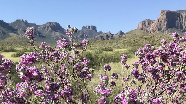 Big Bend National Park (U.S. National Park Service)