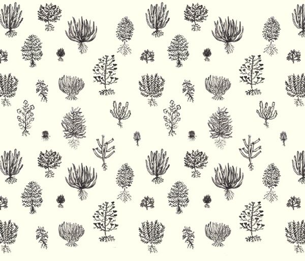 WATER-COLOUR PATTERNS