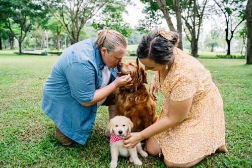 People Having A Good Time With Their Dogs · Free Stock Photo