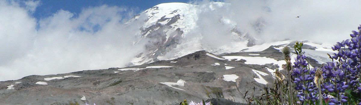 Mount Rainier National Park (U.S. National Park Service)