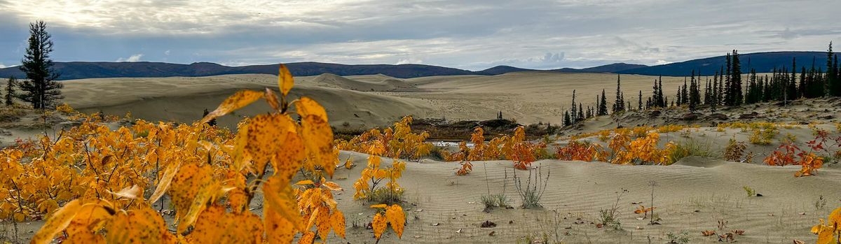 Kobuk Valley National Park (U.S. National Park Service)