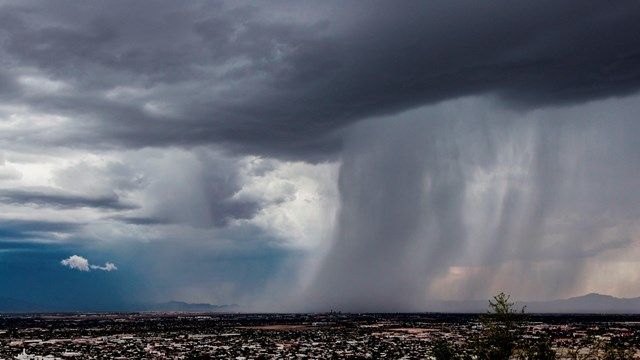 Saguaro National Park (U.S. National Park Service)