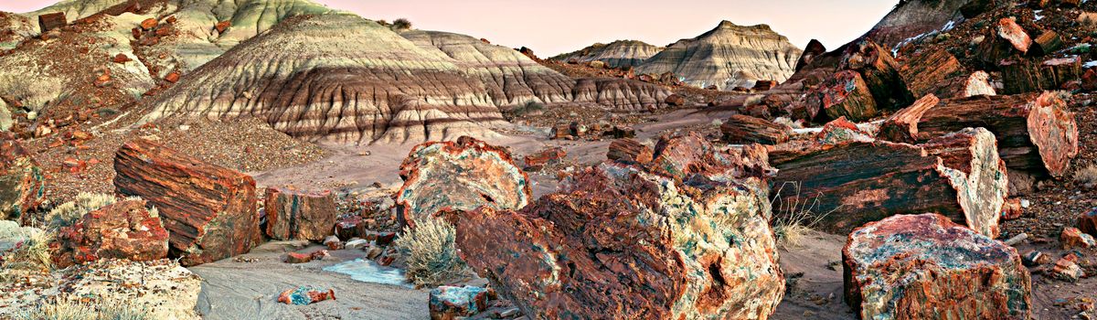 Petrified Forest National Park (U.S. National Park Service)