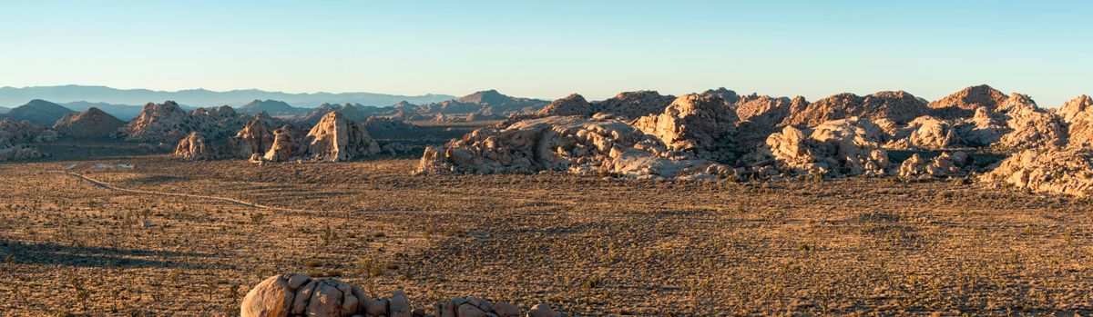 Joshua Tree National Park (U.S. National Park Service)