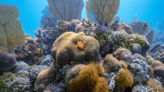 Biscayne National Park (U.S. National Park Service)