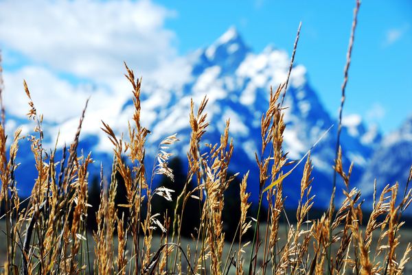 Grand Tetons National Park