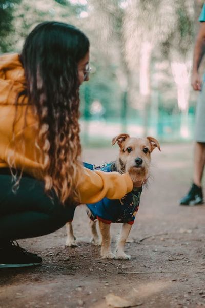 Woman Squatting and Patting Dog in Clothes · Free Stock Photo