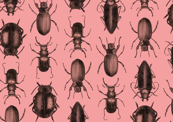 Patterns. Black Animals.