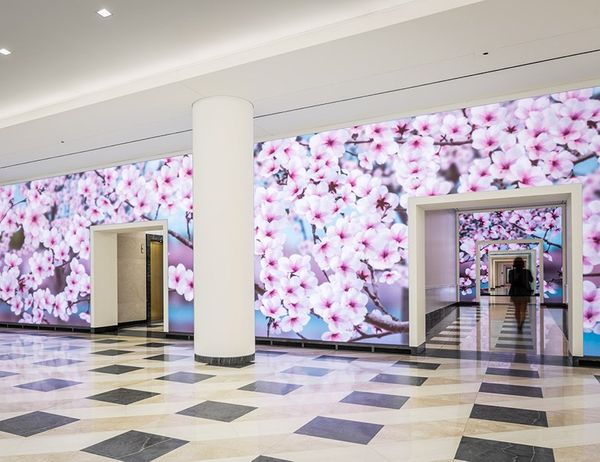 Lobby Art for the 21st Century