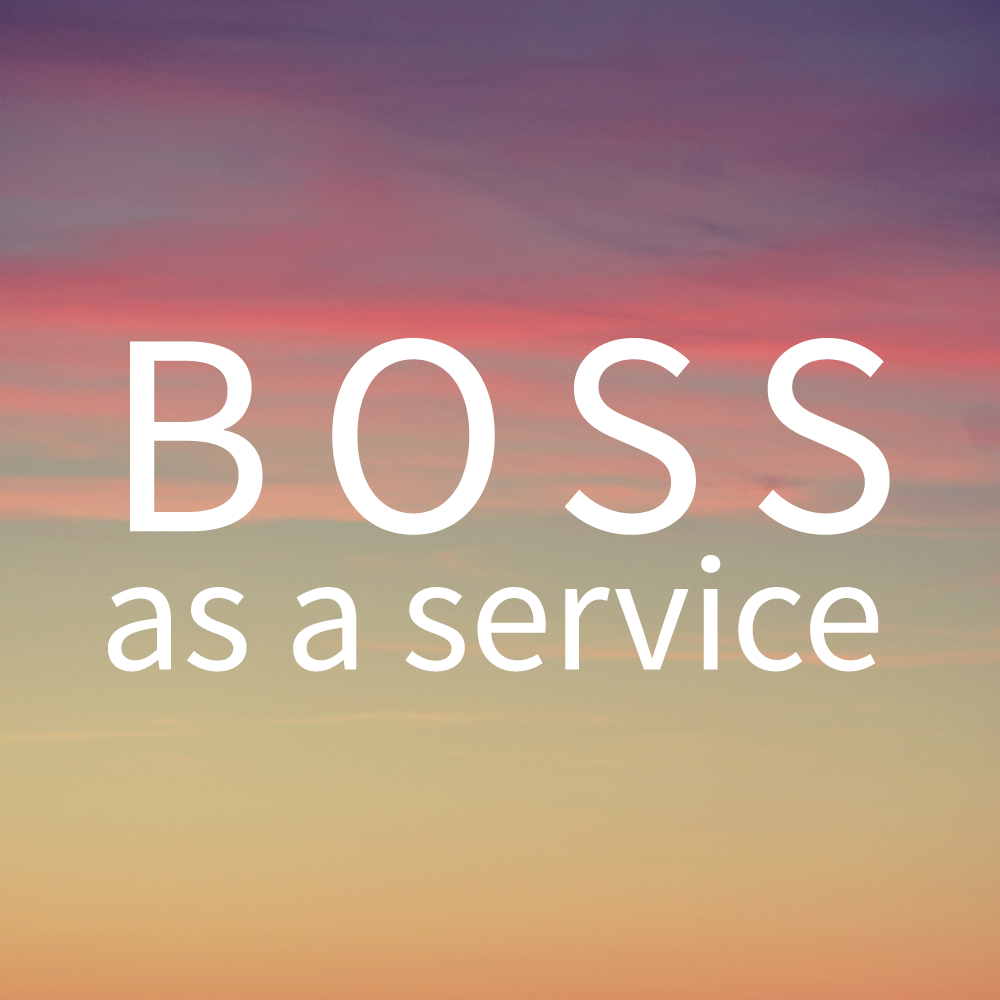 Boss as a Service | Accountability Partner Service - Virtual Accountability Coaching