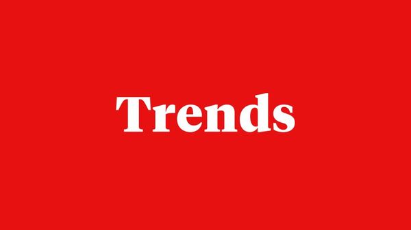 Trends by the Hustle