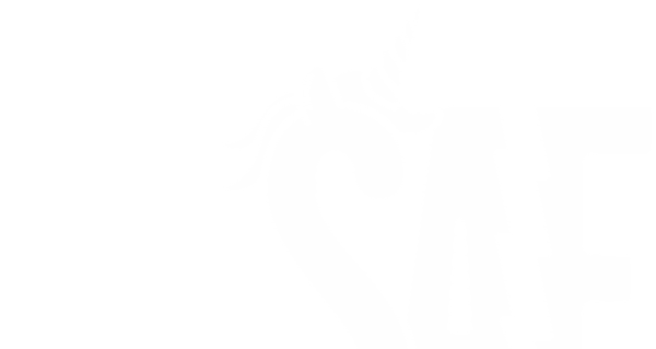 Super Awesome Friends