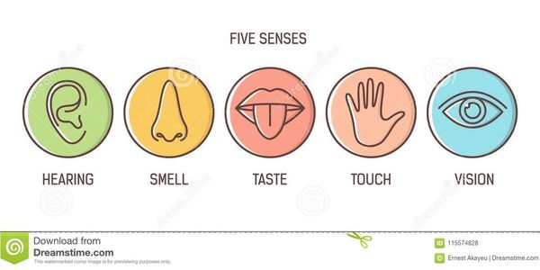 Nicht schon wieder ein Zoom-Meeting!