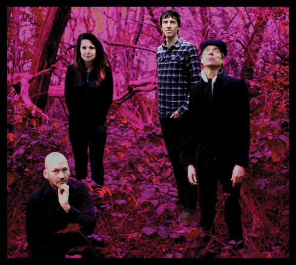 RGB Originele foto: Jeroen van der Poel Collage bewerker: Victor Meijer