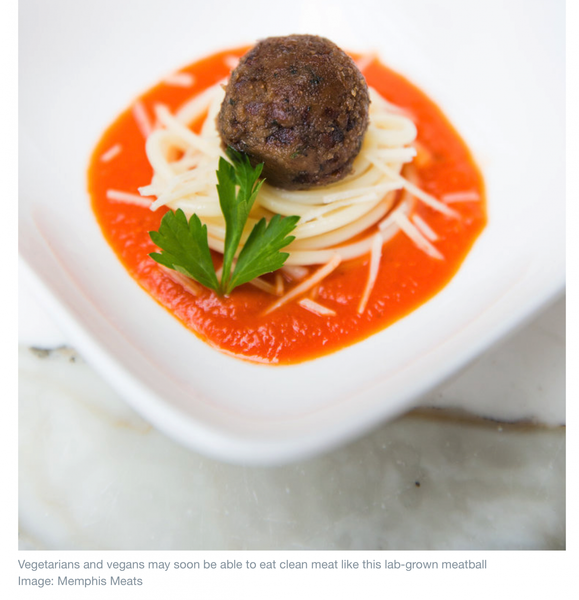 Scientists_serve_up_100__real_meat__without_the_cruelty_or_carbon___World_Econo