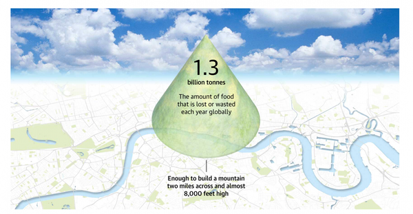 Produced_but_never_eaten__a_visual_guide_to_food_waste___Environment___The_Guar