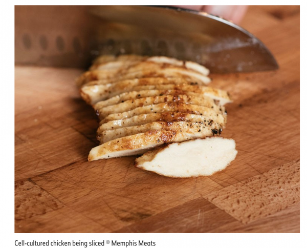 Would_you_eat_lab-grown_meat____Natural_History_Museum_2