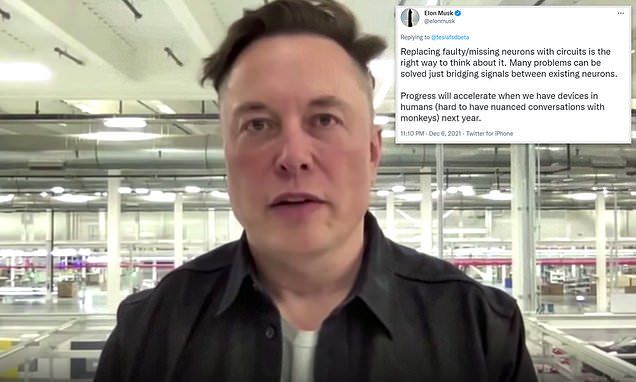Elon Musk says Neuralink could start implanting chips in humans in 2022 | Daily Mail Online