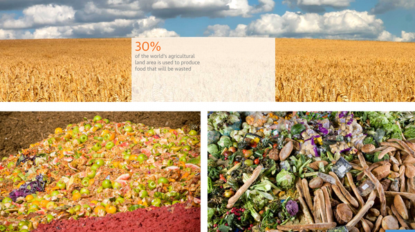 Produced_but_never_eaten__a_visual_guide_to_food_waste___Environment___The_Guar