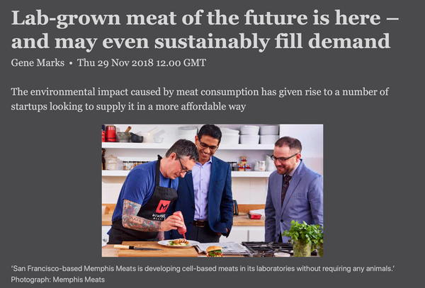 Lab-grown_meat_of_the_future_is_here_–_and_may_even_sustainably_fill_demand__