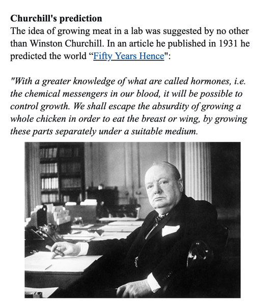 The_Lab-Grown_Meat_of_the_Future