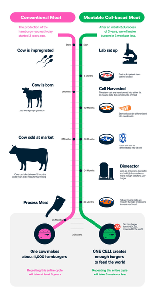 Meatable_Claims_to_Hold_the_Key_to_Scalable_Cultured_Meat_In_a_Single_Cell___Th
