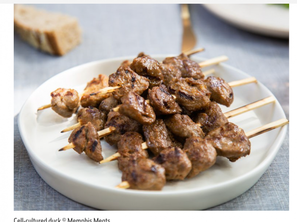 Would_you_eat_lab-grown_meat____Natural_History_Museum_1