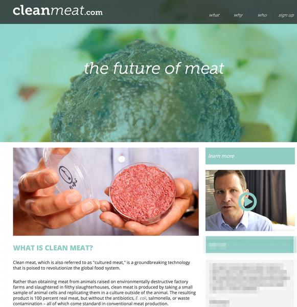 What_is_Clean_Meat_