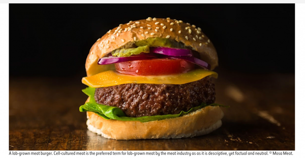 Would_you_eat_lab-grown_meat____Natural_History_Museum