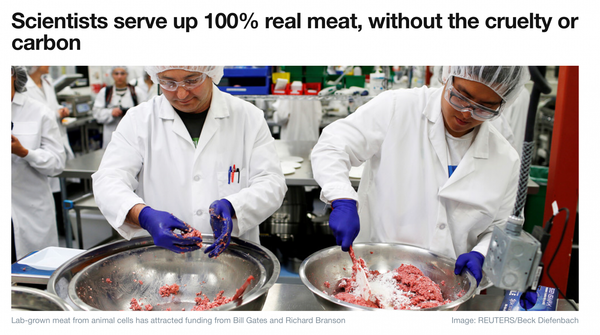 Scientists_serve_up_100__real_meat__without_the_cruelty_or_carbon___World_Econo