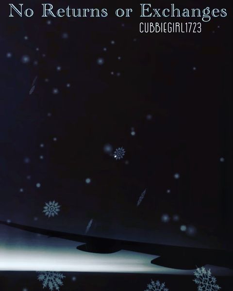 Art: No Returns or Exchanges by @cubbiegirl1723 . . . Christmas Eve in Iowa was about as far from V…