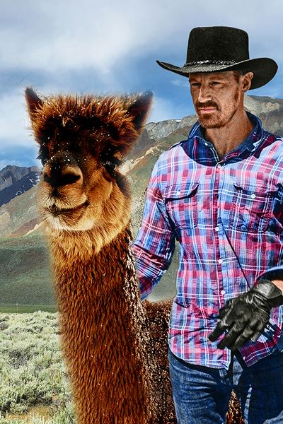 Art; Logan and Sentry